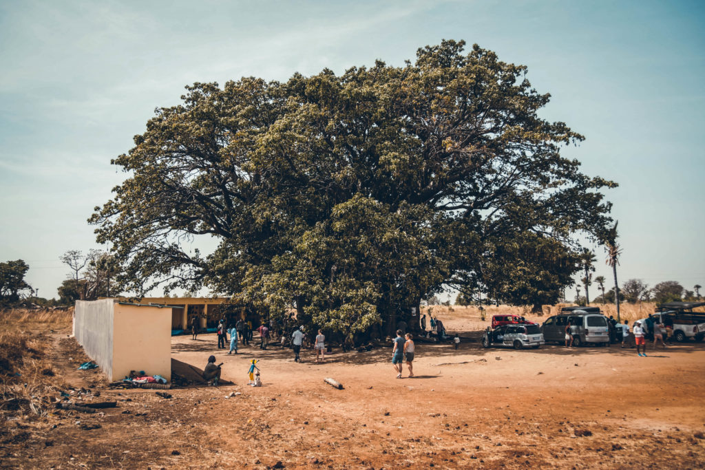 Carnet de voyage et itinéraire de notre roadtrip de 2 semaines au Sénégal